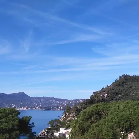 Apartment Mare E Vista Portofino - Sea And Portofino View *