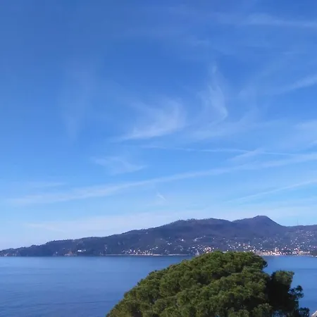 Apartment Mare E Vista Portofino - Sea And Portofino View *